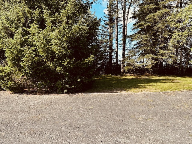 151 Schooland Rd, New Sweden, ME 04762 - view of yard