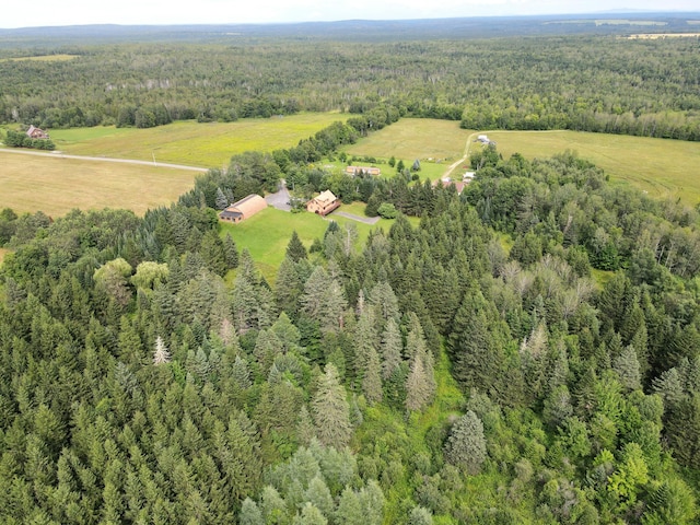 151 Schooland Rd, New Sweden, ME 04762 - view of property location with a heavily wooded area and rural landscape