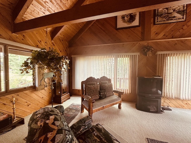 151 Schooland Rd, New Sweden, ME 04762 - living area with carpet floors, wooden walls, wood ceiling, and healthy amount of natural light
