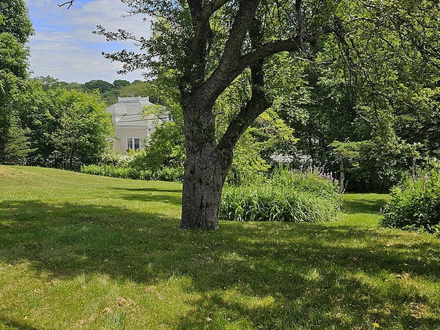 8 Longfellow School Rd, Bristol, ME 04539 - view of green lawn