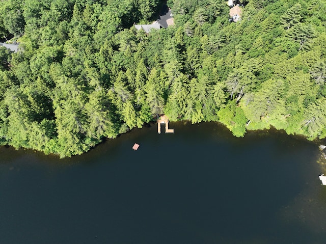 42 Knowles Point Rd, Bridgton, ME 04009 - aerial overview of property's location with a nearby body of water