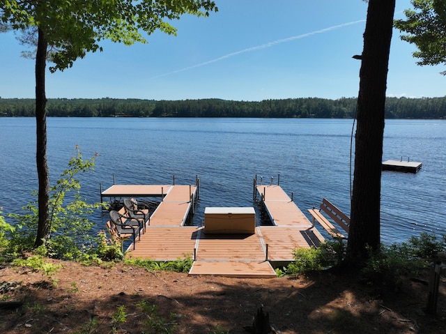 42 Knowles Point Rd, Bridgton, ME 04009 - dock featuring a water view and a view of trees