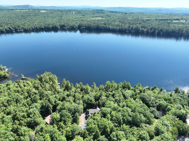 42 Knowles Point Rd, Bridgton, ME 04009 - aerial view of a forest