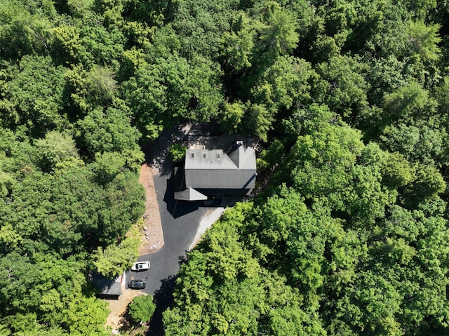 42 Knowles Point Rd, Bridgton, ME 04009 - view of subject property featuring a forest