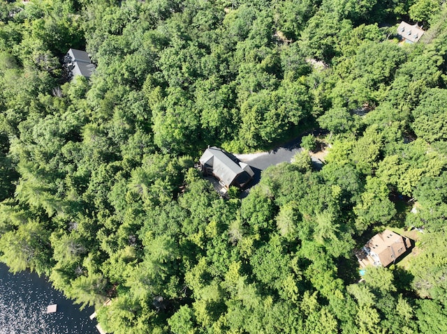42 Knowles Point Rd, Bridgton, ME 04009 - aerial overview of property's location with a forest