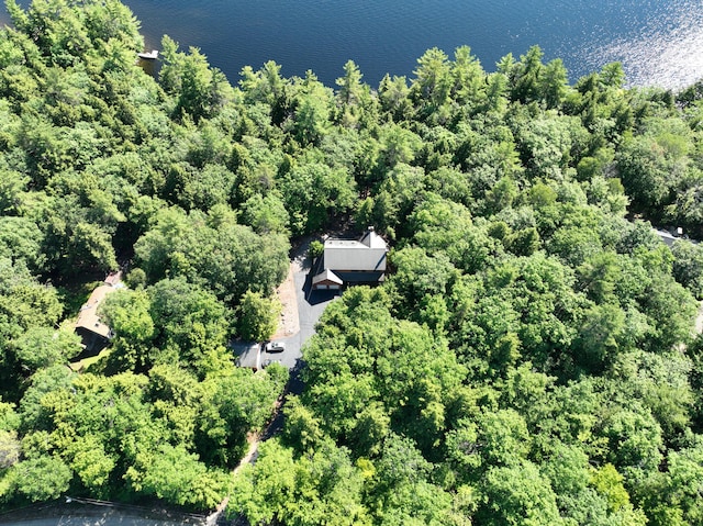 42 Knowles Point Rd, Bridgton, ME 04009 - aerial view of a large body of water