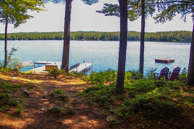 42 Knowles Point Rd, Bridgton, ME 04009 - dock with a water view and a wooded view