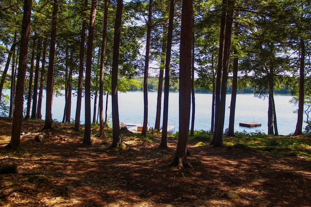 42 Knowles Point Rd, Bridgton, ME 04009 - water view