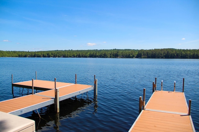 42 Knowles Point Rd, Bridgton, ME 04009 - dock area with a water view and a forest view