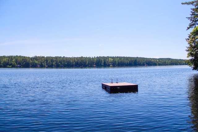 42 Knowles Point Rd, Bridgton, ME 04009 - water view featuring a floating dock and a heavily wooded area