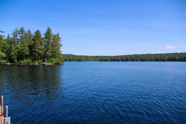 42 Knowles Point Rd, Bridgton, ME 04009 - water view with a heavily wooded area