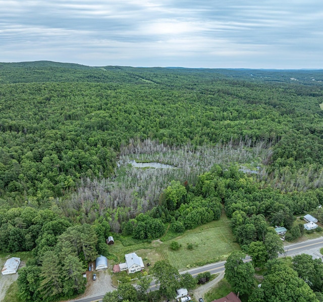 143 Mayfield Rd, Moscow, ME 04920 - view of property location featuring a forest