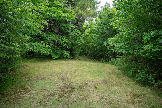 143 Mayfield Rd, Moscow, ME 04920 - view of green lawn with a view of trees