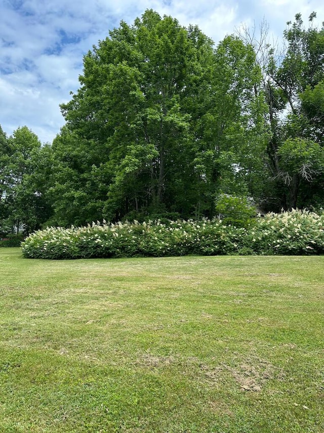 337 Copeland Hill Rd, Holden, ME 04429 - view of green lawn