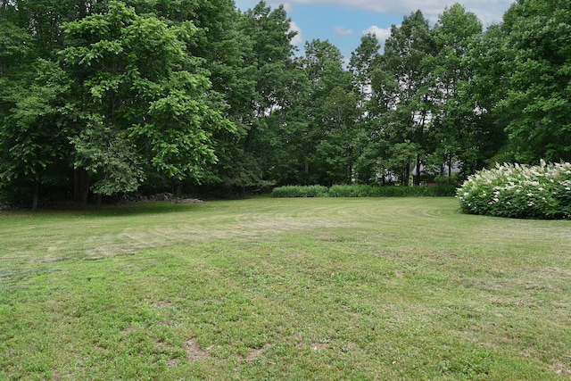 337 Copeland Hill Rd, Holden, ME 04429 - view of green lawn