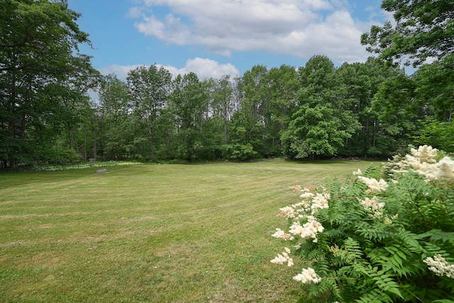 337 Copeland Hill Rd, Holden, ME 04429 - view of grassy yard