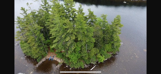 PE021 01 Unit T1 R8, Wels, ME 04462 - aerial view of property's location with a nearby body of water