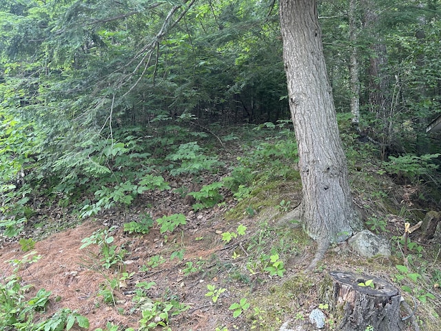 M47L21 Memorial Dr, Winthrop, ME 04364 - photo 5