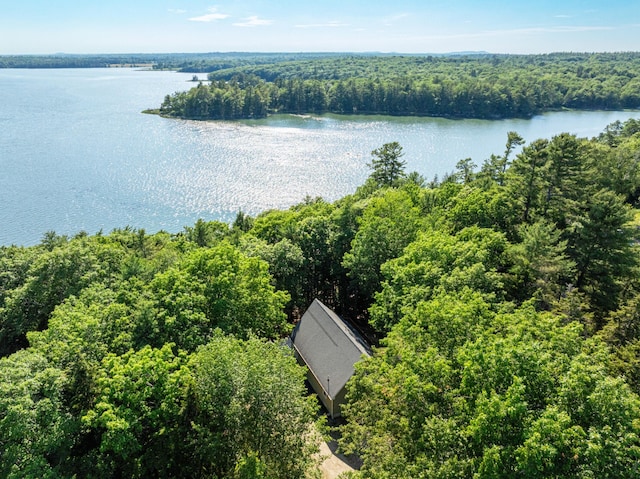 61 Dwelly Point Rd, Franklin, ME 04634 - aerial view of a large body of water