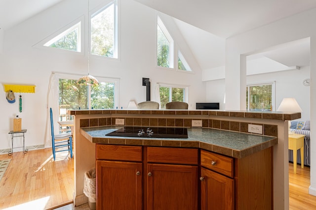 61 Dwelly Point Rd, Franklin, ME 04634 - kitchen with black electric cooktop, high vaulted ceiling, light wood-style floors, and healthy amount of natural light