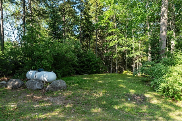 61 Dwelly Point Rd, Franklin, ME 04634 - view of green lawn featuring a view of trees