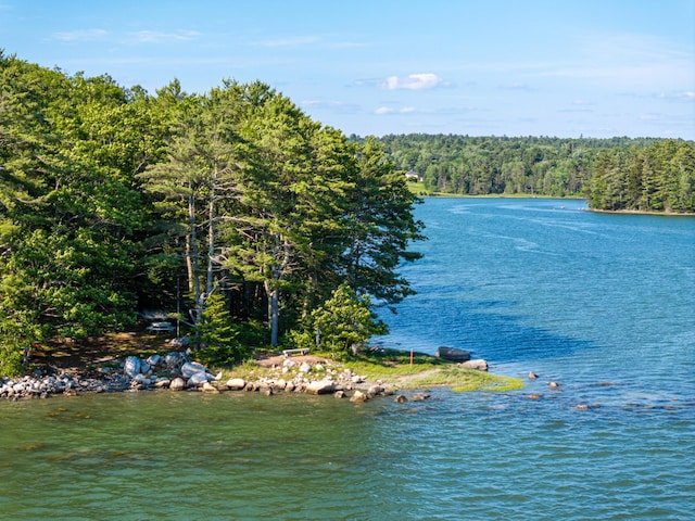 61 Dwelly Point Rd, Franklin, ME 04634 - water view featuring a forest