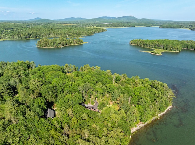 61 Dwelly Point Rd, Franklin, ME 04634 - aerial view of a water and mountain view and a forest