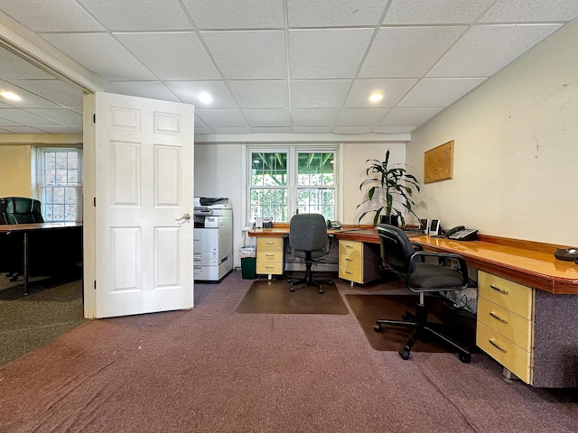 152 E Green Ridge Rd, Caribou, ME 04736 - photo 39