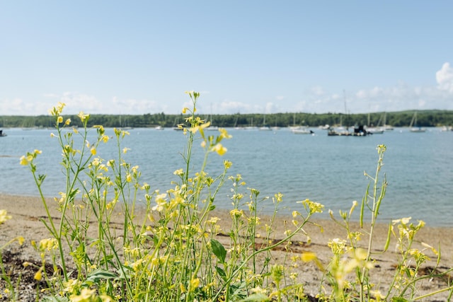 62 Harbor View Dr Unit 62, Stockton Springs, ME 04981 - photo 60