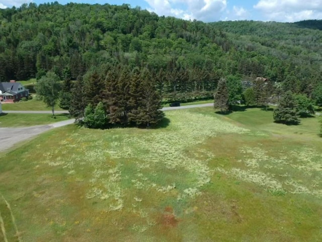 175 Bradbury Rd, Fort Kent, ME 04743 - photo 7