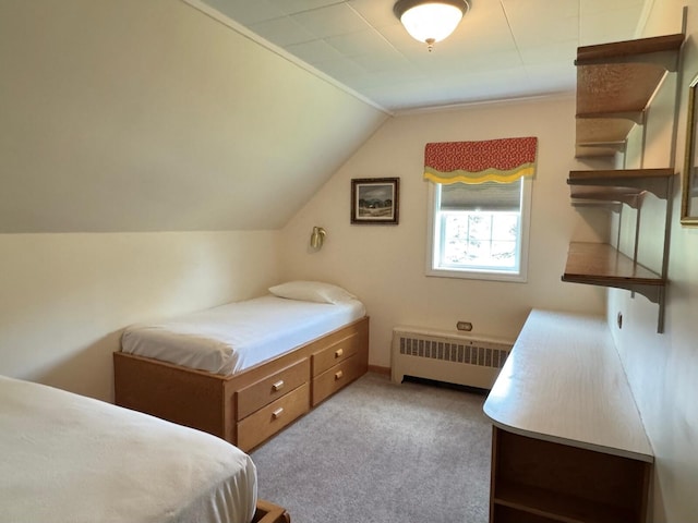 175 Bradbury Rd, Fort Kent, ME 04743 - photo 63