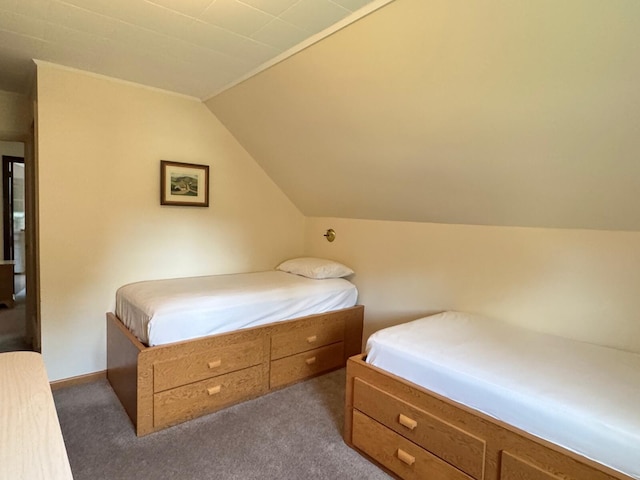175 Bradbury Rd, Fort Kent, ME 04743 - photo 64