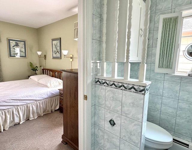 175 Bradbury Rd, Fort Kent, ME 04743 - photo 73