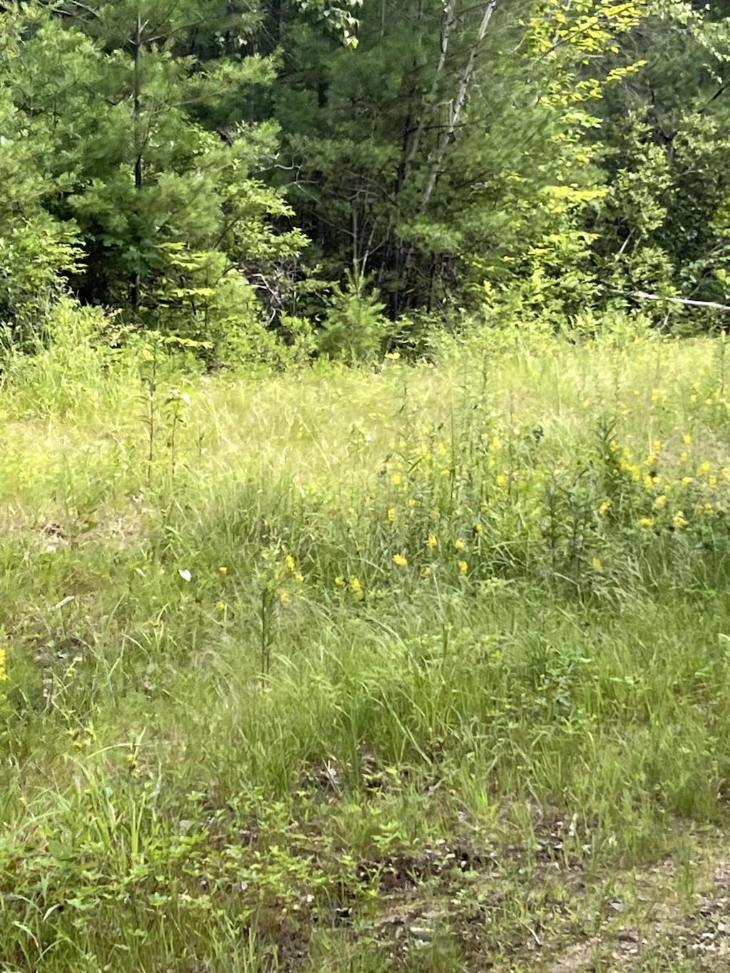 3 Gallant Ave, Sanford, ME 04073 - photo 2