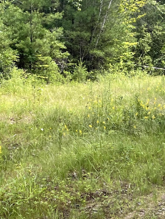 3 Gallant Ave, Sanford, ME 04073 - photo 2