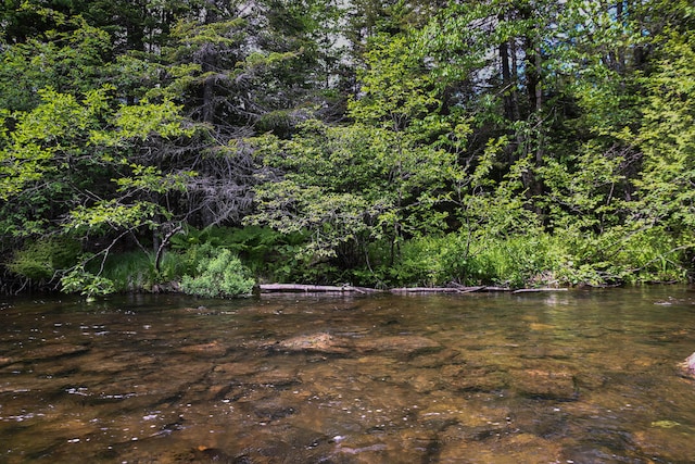 TAXMAP20 Beaver Mountain Rd, Sandy River Plt, ME 04970 - photo 2