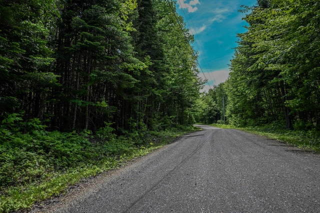 TAXMAP20 Beaver Mountain Rd, Sandy River Plt, ME 04970 - photo 4