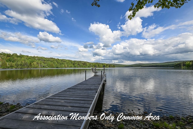 TAXMAP20 Beaver Mountain Rd, Sandy River Plt, ME 04970 - photo 7