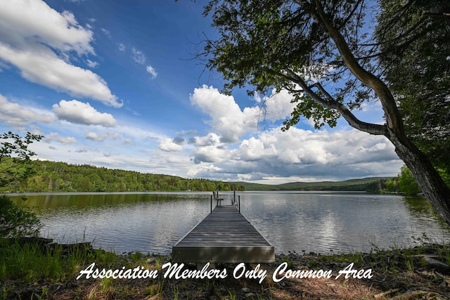 TAXMAP20 Beaver Mountain Rd, Sandy River Plt, ME 04970 - photo 8