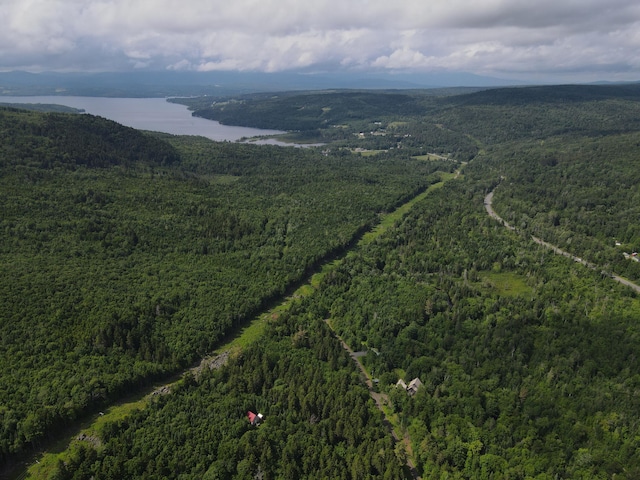 TAXMAP20 Beaver Mountain Rd, Sandy River Plt, ME 04970 - photo 11