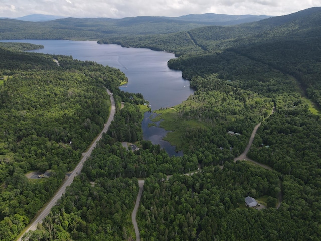 TAXMAP20 Beaver Mountain Rd, Sandy River Plt, ME 04970 - photo 12