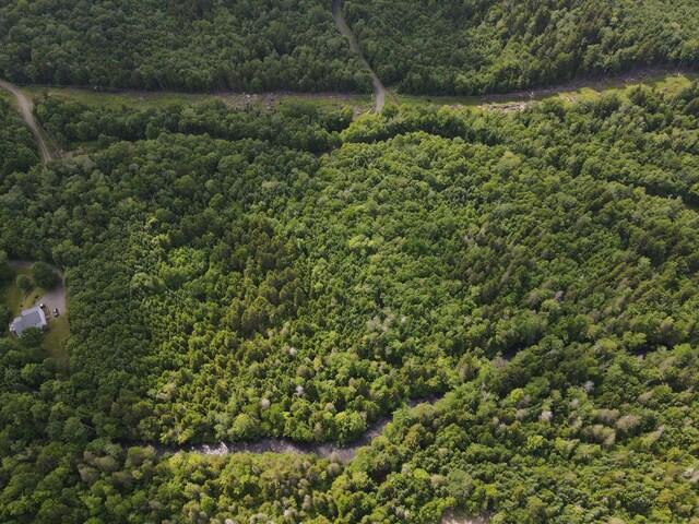 TAXMAP20 Beaver Mountain Rd, Sandy River Plt, ME 04970 - photo 13