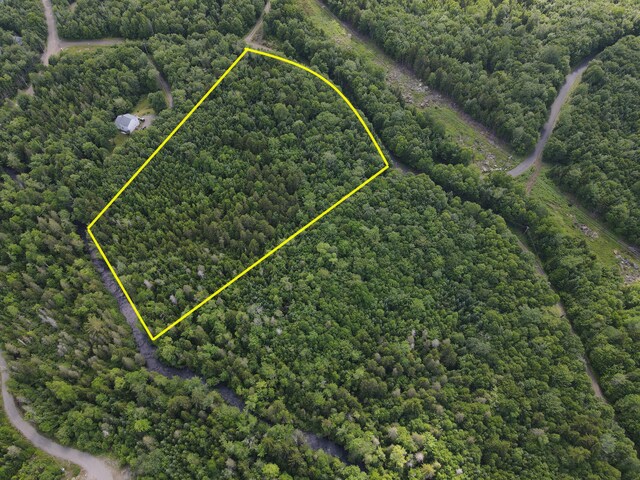 TAXMAP20 Beaver Mountain Rd, Sandy River Plt, ME 04970 - photo 10