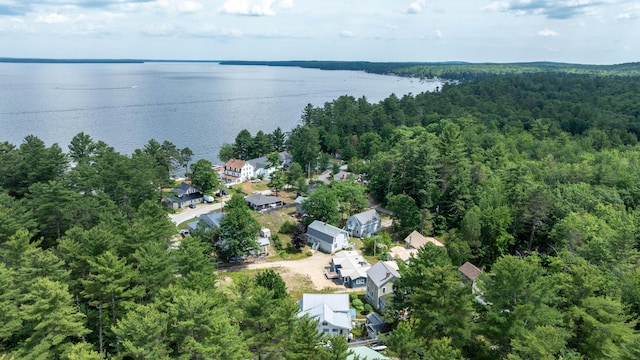 61 Shore Rd, Sebago, ME 04029 - aerial view of property's location with a nearby body of water and nearby suburban area