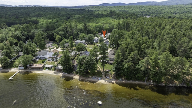 61 Shore Rd, Sebago, ME 04029 - aerial overview of property's location featuring a heavily wooded area and a water and mountain view