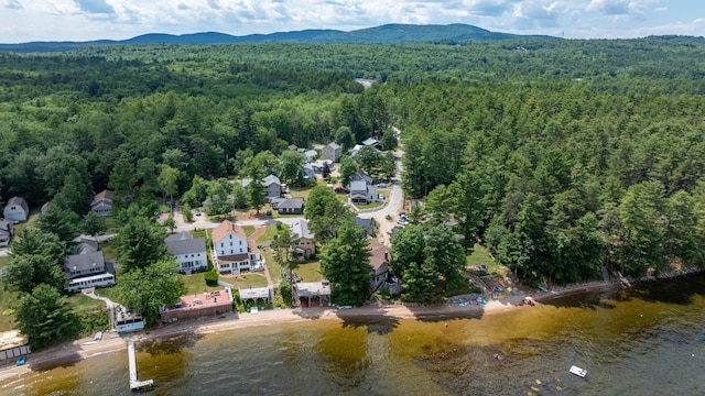 61 Shore Rd, Sebago, ME 04029 - aerial overview of property's location featuring a forest and a water and mountain view