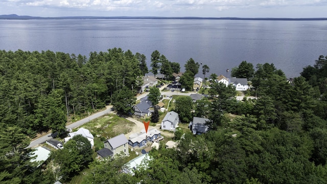 61 Shore Rd, Sebago, ME 04029 - aerial view of property and surrounding area featuring a large body of water and nearby suburban area