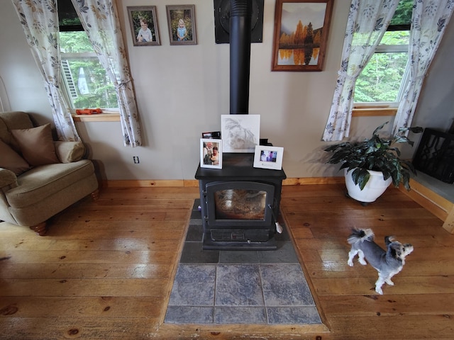 114 E Shore Rd, Benedicta Twp, ME 04733 - living room with a wood stove and wood-type flooring