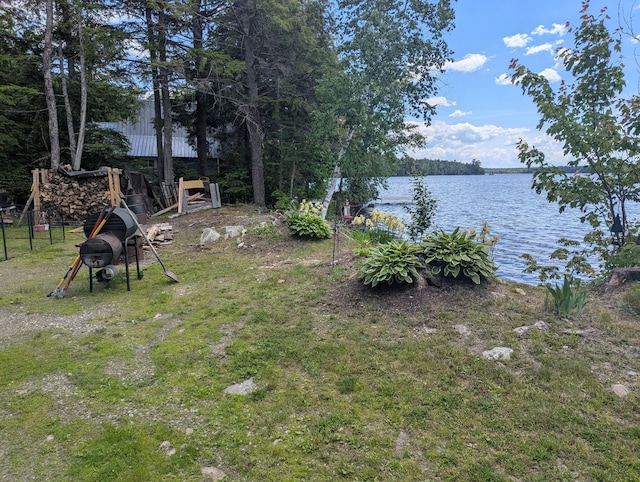 114 E Shore Rd, Benedicta Twp, ME 04733 - view of yard with a water view