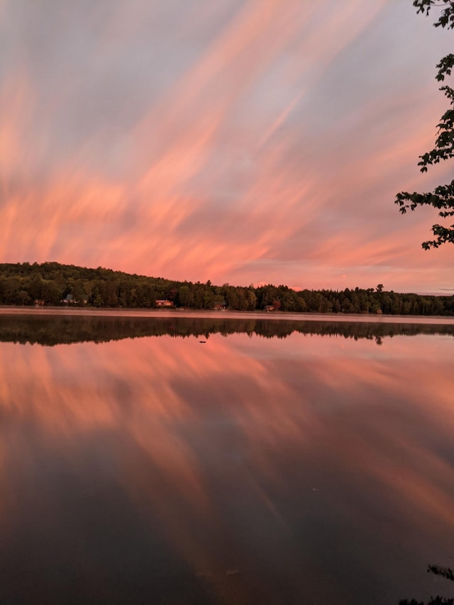114 E Shore Rd, Benedicta Twp, ME 04733 - water view featuring a heavily wooded area